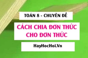 Cách chia đơn thức cho đơn thức, Phát biểu quy tắc, Ví dụ và Bài tập Toán 8